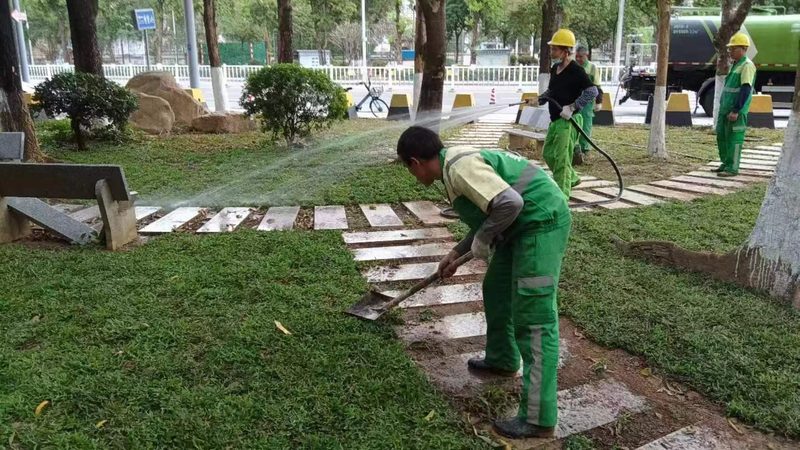 道路绿化常用苗木品牌盘点：品质与选择的平衡之道