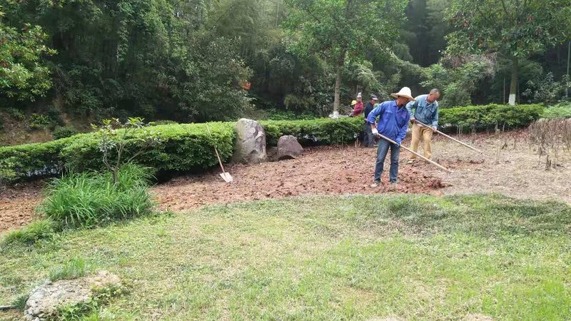 苏州园林工程公司选择：关键要素与误区解析