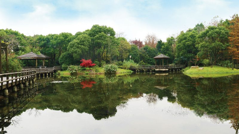 草坪铺设最佳季节选择：揭秘春、秋两季的黄金时机