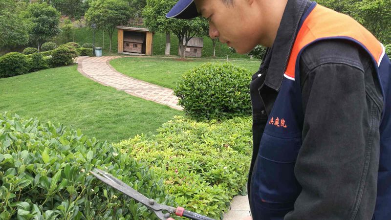 绿化工程合同清单编制：关键要素与注意事项