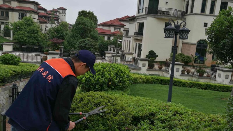 屋顶草坪材料选择与对比：揭秘绿色屋顶的秘密