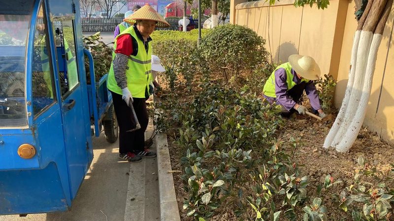 道路绿化施工资质标准参数解析