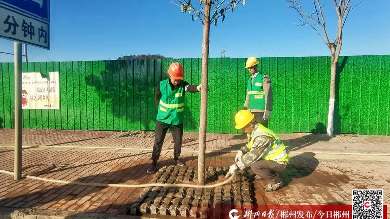 上海立体绿化：如何选择优质厂家？**