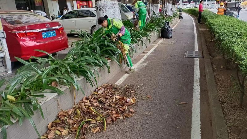屋顶绿化：厂家直销背后的技术秘密