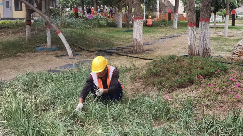 屋顶绿化怎么做才符合规范