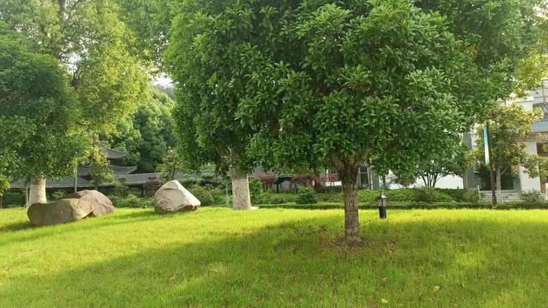 居住区园林景观设计：如何选择专业公司**