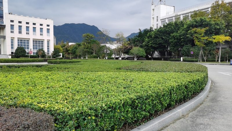 生活区包括厨房、卫生间、卧室等。在改造过程中，应注意以下几点：
